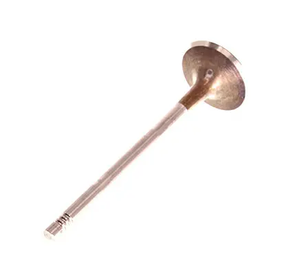 Supapa admisie TRW Engine Component 331162