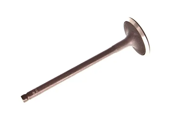 Supapa admisie TRW Engine Component 769000