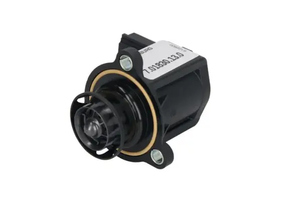 Supapa control electronic galerie admisie (12V) AUDI A1, A3, A4, A4 ALLROAD, A5, A6, A7, A8, Q3, Q5, TT; SEAT ALHAMBRA, ALTEA, ALTEA XL, EXEO, EXEO ST, LEON, TOLEDO III, TOLEDO IV; SKODA OCTAVIA II 1.