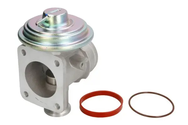 Supapa EGR BMW Seria 3 (E46), 5 (E39), 7 (E38), 7 (E65, E66, E67), X5 (E53) 2.0D-3.9D intre 1996-2007
