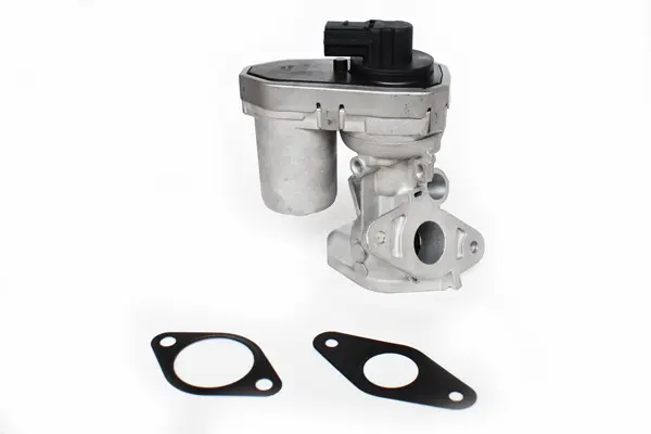 Supapa EGR DENKAI DK33156