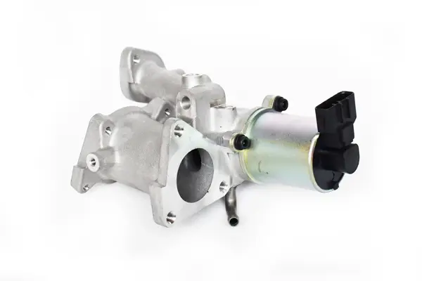 Supapa EGR DENKAI DK33169