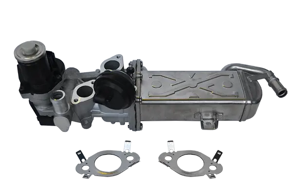 Supapa EGR DENKAI DK33695