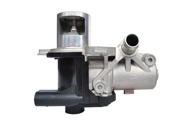 Supapa EGR DENKAI DK33697