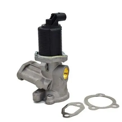 Supapa EGR MAGNETI MARELLI 571822112003