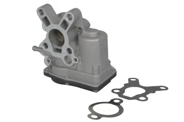 Supapa EGR potrivit NISSAN CABSTAR, NAVARA, NAVARA NP300, NP300, PATHFINDER III, PICK UP 2.5D 11.01-