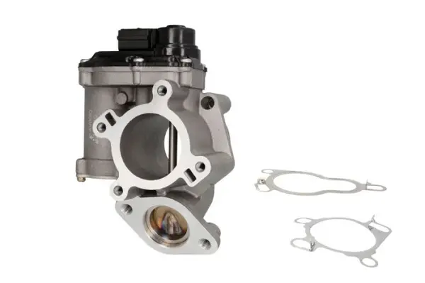 Supapa EGR potrivit NISSAN PRIMASTAR, QASHQAI I, X-TRAIL II; OPEL VIVARO A; RENAULT ESPACE IV, GRAND SCENIC II, KOLEOS I, LAGUNA, LAGUNA II, LAGUNA III, MEGANE II, SCENIC II 2.0D 08.05-