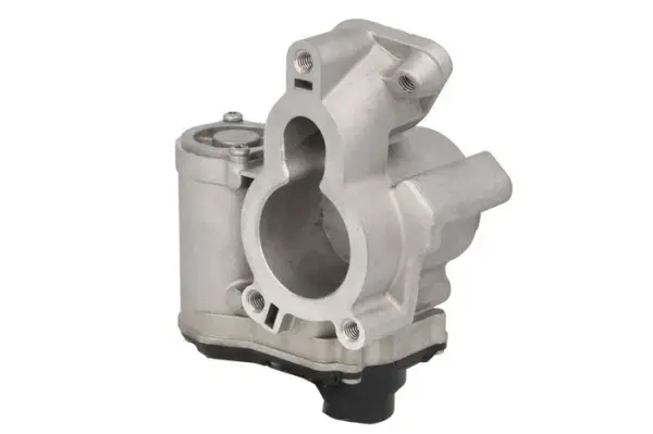 Supapa EGR potrivit NISSAN PRIMASTAR, QASHQAI I, X-TRAIL, X-TRAIL II; OPEL VIVARO A; RENAULT ESPACE IV, GRAND SCENIC II, KOLEOS I, LAGUNA, LAGUNA II, LAGUNA III, MEGANE II, SCENIC II 2.0D 08.05-