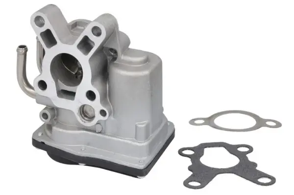 Supapa EGR potrivit RVI MASCOTT, MAXITY; NISSAN CABSTAR, NT400 CABSTAR, PATROL GR V, ATLEON; RENAULT MASTER PRO 2.5D 3.0D 05.00-