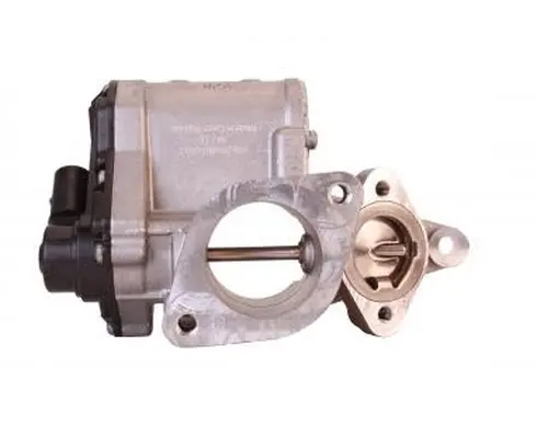 Supapa EGR QWP WEG166