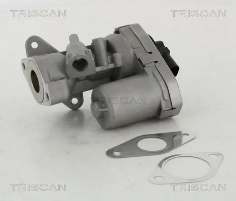 Supapa EGR TRISCAN 8813 10002