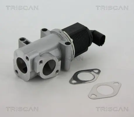 Supapa EGR TRISCAN 8813 10015