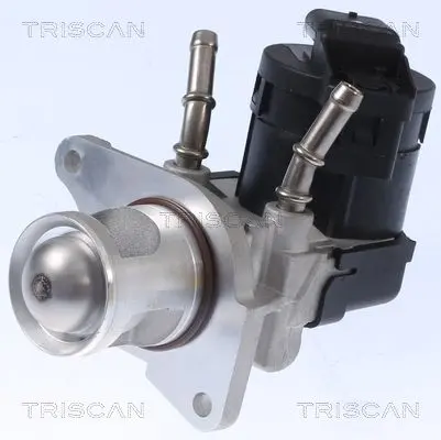 Supapa EGR TRISCAN 8813 11001