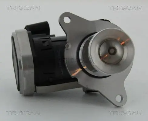 Supapa EGR TRISCAN 8813 23006