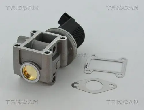 Supapa EGR TRISCAN 8813 24082