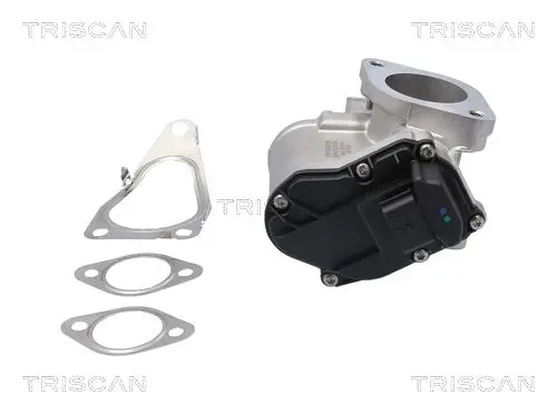Supapa EGR TRISCAN 8813 25201