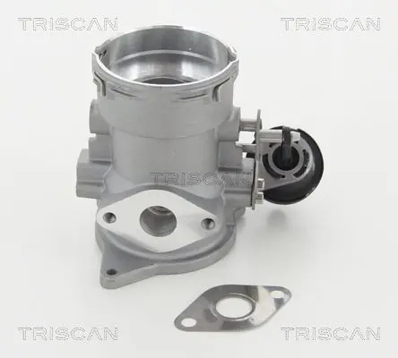 Supapa EGR TRISCAN 8813 29056