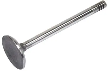 Supapa evacuare TRW Engine Component 261141