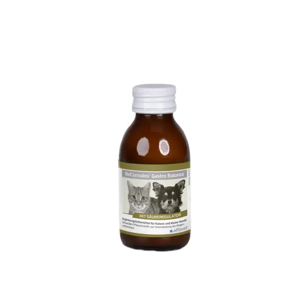 Supliment Nutrițional pentru Pisici și Câini de Talie Mică, ReConvales® Gastro Balance, 90ml