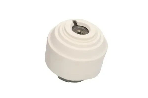 Suport motor fata (Hidraulic) MERCEDES C (CL203), C T-MODEL (S202), C T-MODEL (S203), C (W202), C (W203), CLC (CL203), CLK (A208), CLK (A209), CLK (C208), CLK (C209) 1.8-3.2D intre 1993-2011