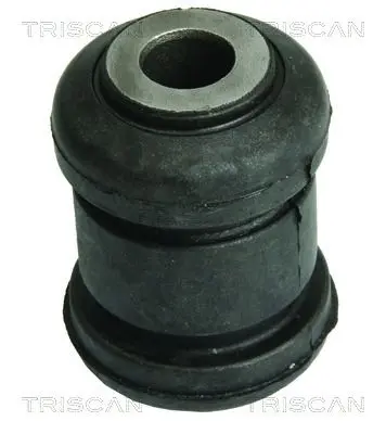 suport,trapez TRISCAN 8500 10830