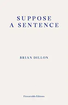 Suppose a Sentence, Paperback/Brian Dillon