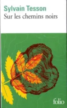 Sur les chemins noirs, Paperback/Sylvain Tesson