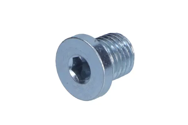 surub de golire,baia de ulei FA1 257.829.001