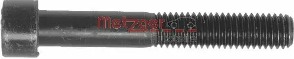 Surub, etrier METZGER 11502