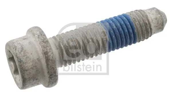 Surub FEBI BILSTEIN 102311