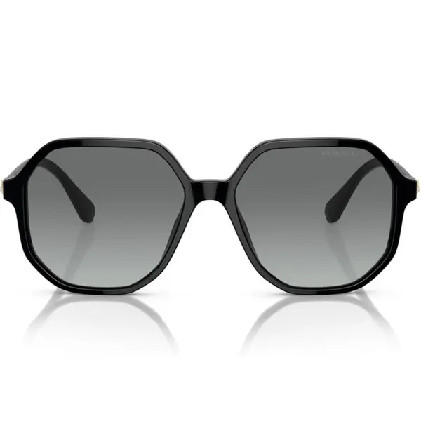 Swarovski SK6003 100111 57