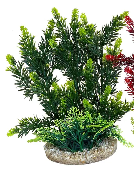 Sydeco Planta Hedge 24 cm 349708