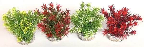 Sydeco Plante Jungle Small 15cm 633