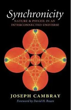 Synchronicity, Volume 15: Nature and Psyche in an Interconnected Universe - Joseph Cambray