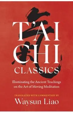 T'Ai Chi Classics: Illuminating the Ancient Teachings on the Art of Moving Meditation - Waysun Liao