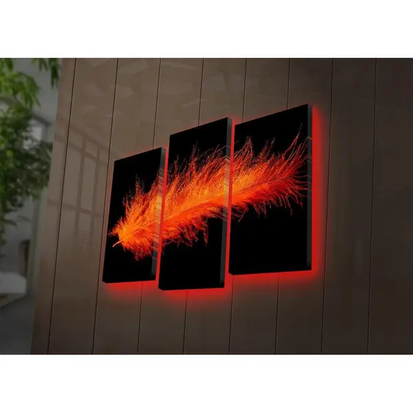 Tablou Canvas cu Led Pana Rosu, Multicolor, 66x45 cm