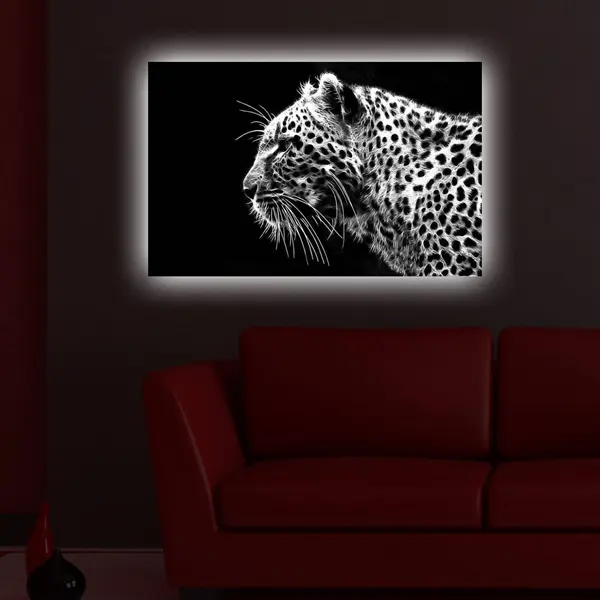 Tablou cu LED 4570DACT Multicolor 45x70 cm