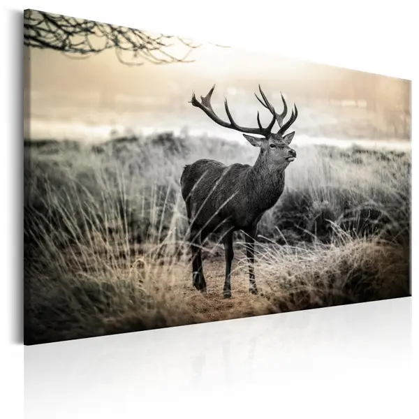 Tablou - Dangerous Horns 120x80 cm