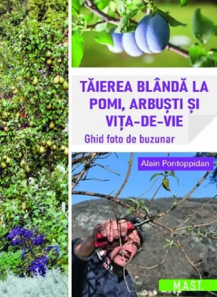 Taierea blanda la pomi, arbusti si vita-de-vie