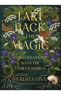 Take Back the Magic: Conversations with the Unseen World - Perdita Finn