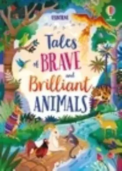 Tales of Brave and Brilliant Animals, Hardback/Lan Cook