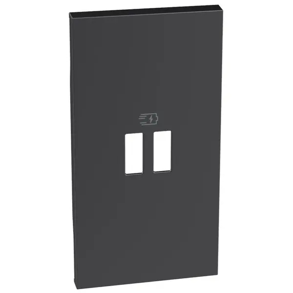 Tasta pentru incarcator usb 2 module Bticino Living Now KG12PD, negru