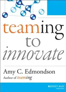 Teaming to Innovate, Paperback/Amy C. Edmondson