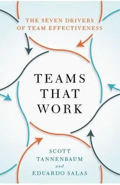Teams That Work: The Seven Drivers of Team Effectiveness - Scott Tannenbaum