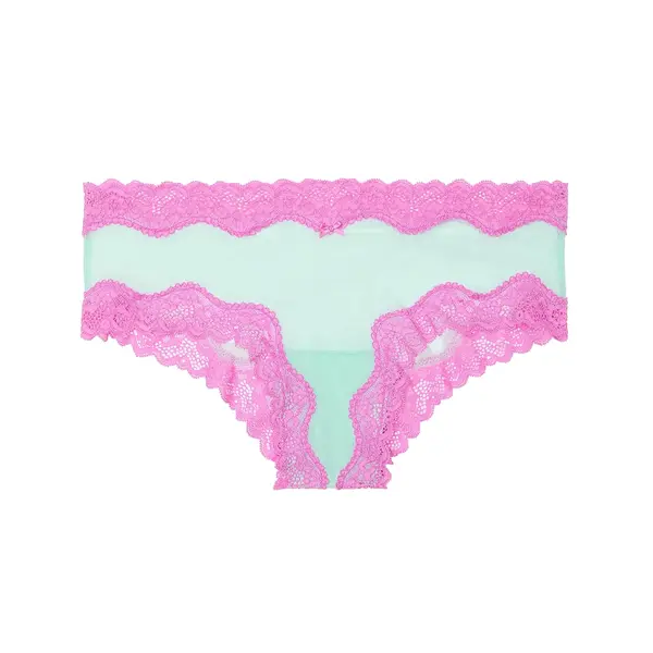 Tease mesh lace-trim cheeky panty - waterfall & new peony S