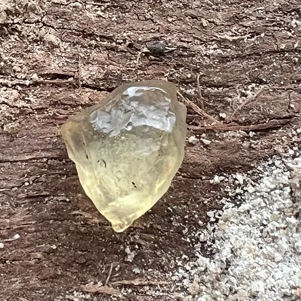Tectita aurie sticla desertului Libia piatra bruta model 2, calitate AAA