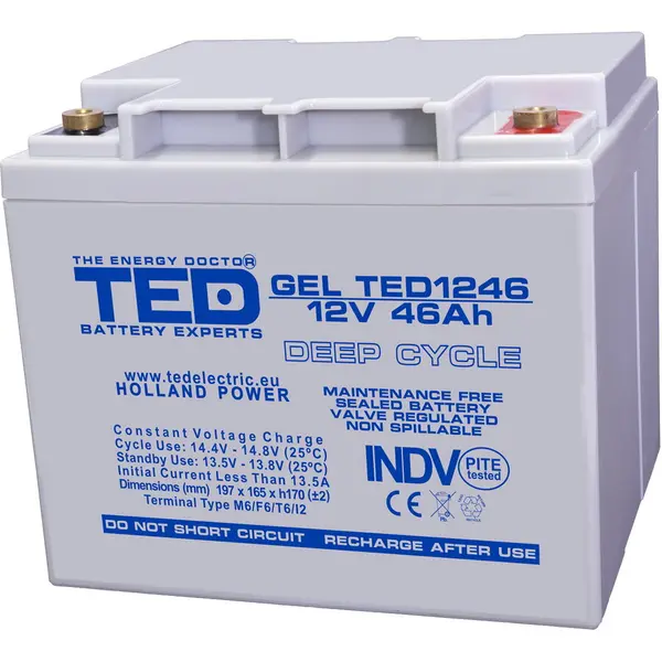 TED Electric Acumulator TED Electric TED003454, 12V GEL Deep Cycle, Dimensiuni 197 x 166 x 171 mm, Baterie 12V 46Ah M6