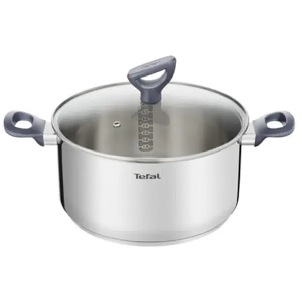 Tefal Oala cu capac de sticla Tefal Daily Cook, 24 cm, 5l, inductie, gradatii usor de citit, inox, argintiu