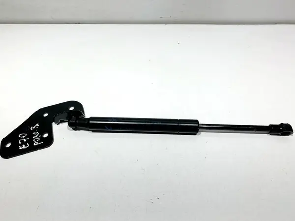 Telescop capota spate 6980060 BMW X5 (2007-2013) [E70]