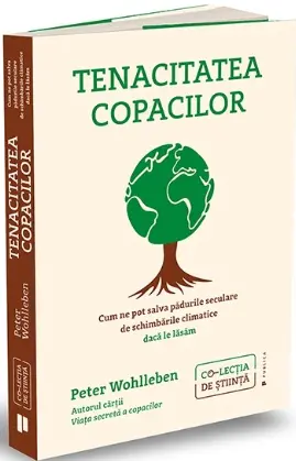 Tenacitatea copacilor